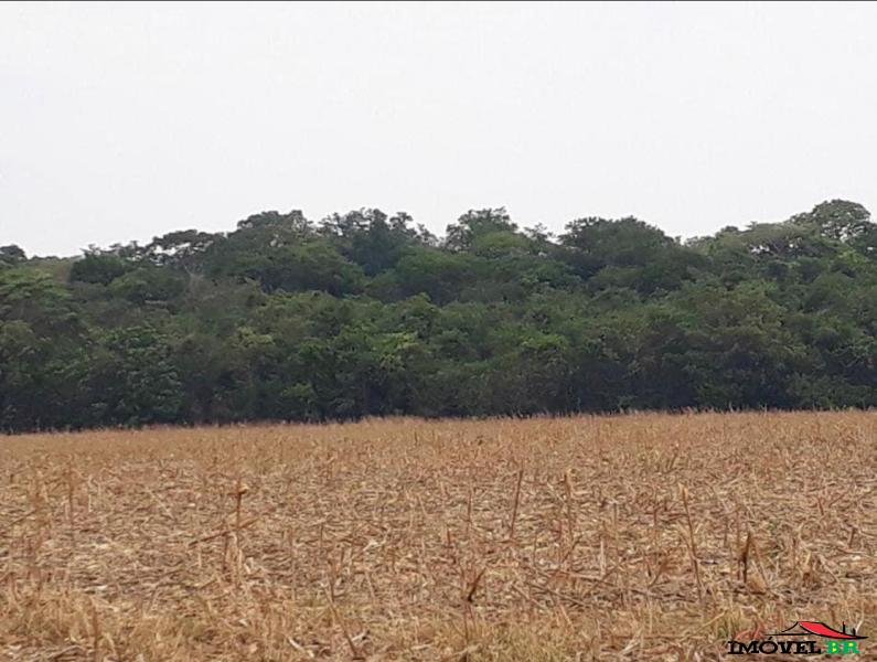 Vendo Chácara — foto 3
